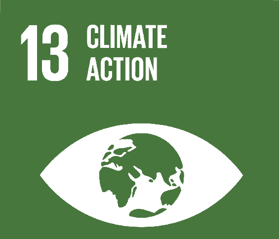 SDG_13