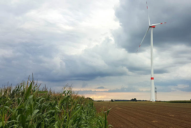 Wind turbine and biomass as renewable energy